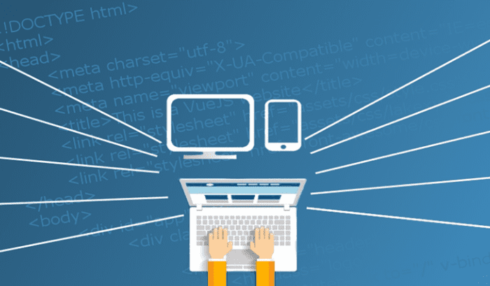 Web development